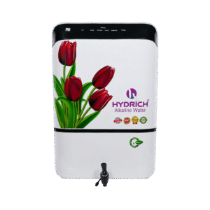 Rental Product 3